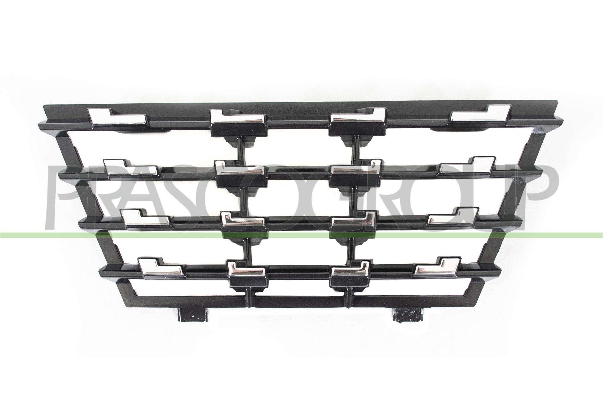 Griglia radiatore PRASCO PG3301225 PRASCO PG3301225 costo Griglia radiatore Peugeot 1007 2013