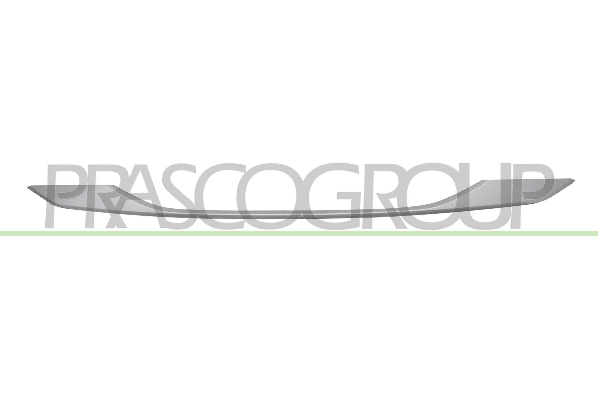 PRASCO Ehis- / kaitseliist, Põrkeraud PG5041245 PG5041245 Sirm, põrkeraud KIA EV6 PRASCO