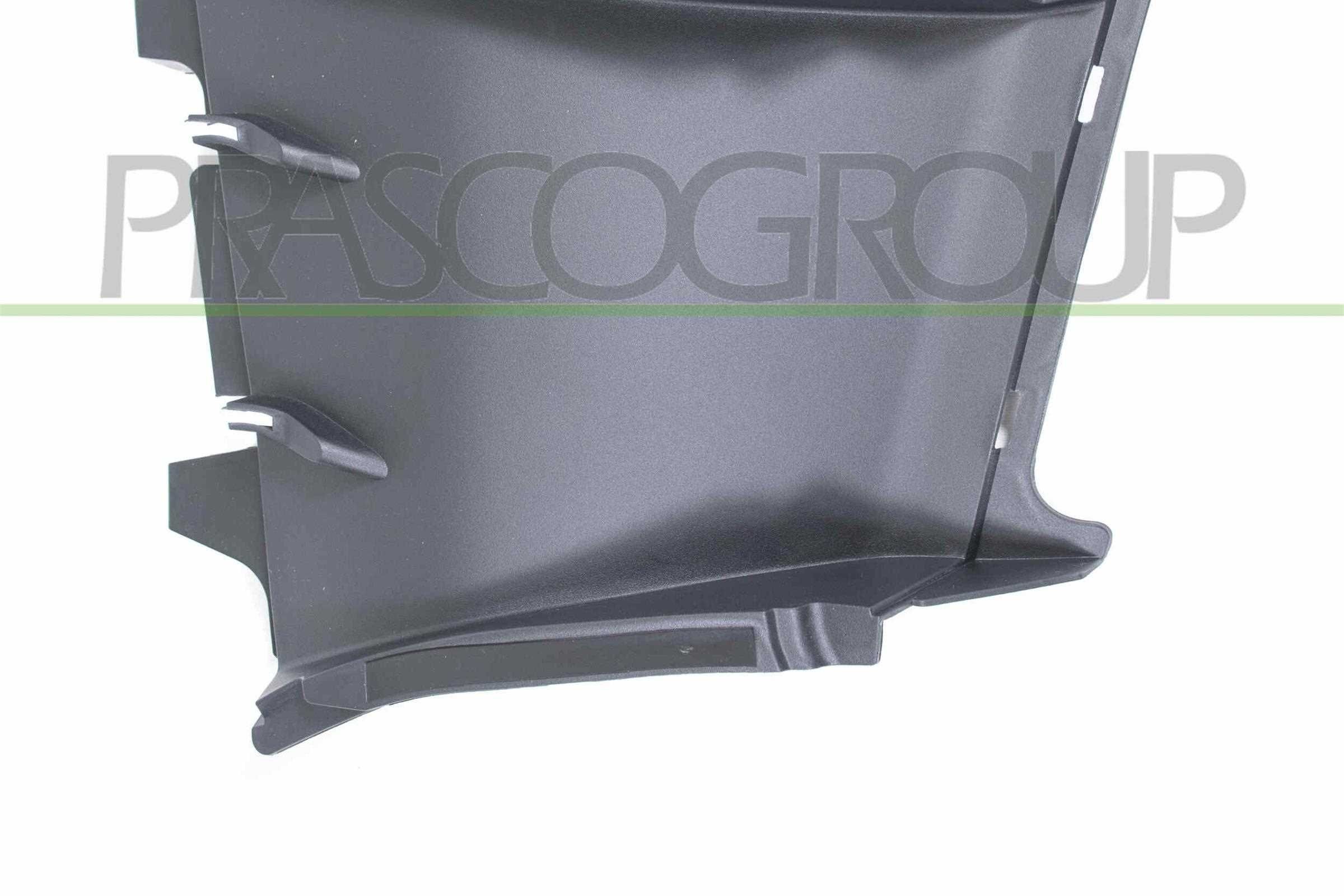 PRASCO Spojler, Motor PR5082405 Kryt ventilátora TESLA PRASCO PR5082405