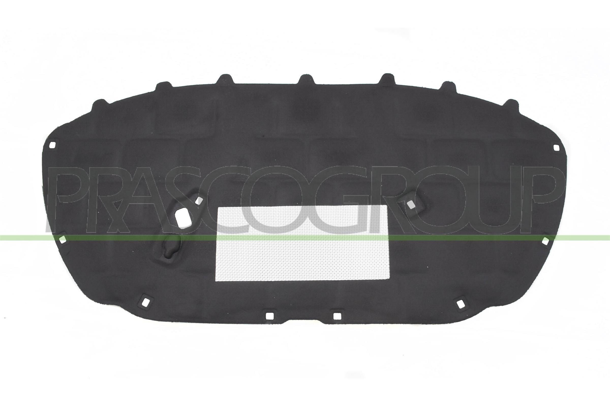 PRASCO Izolácie motorového priestoru VG0231945 VG0231945 Izolácie motorového priestoru PRASCO VOLKSWAGEN TIGUAN