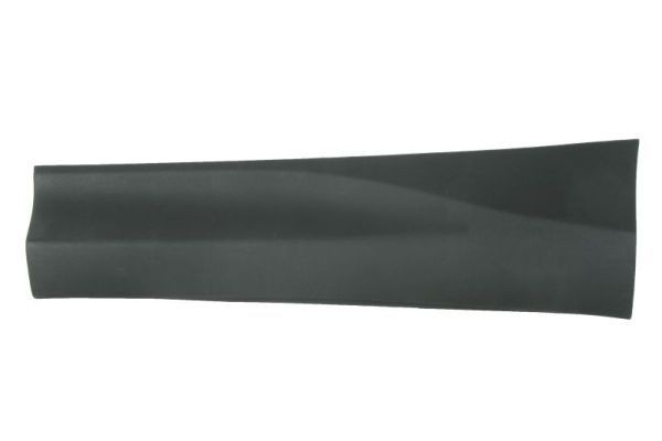 Ozdobná / ochranná liżta dverí BLIC 5703-06-8178577P BLIC 5703-06-8178577P Ozdobná ochranná liżta dverí TOYOTA RAV 4 2020