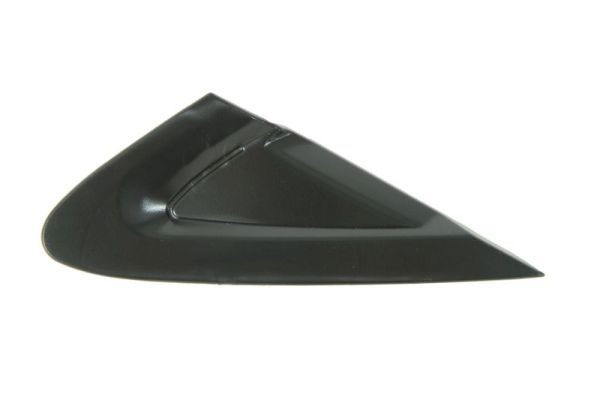 BLIC Trim / Protective Strip, mudguard 5703-08-2024372P 5703-08-2024372P BLIC door trim for FIAT STRADA