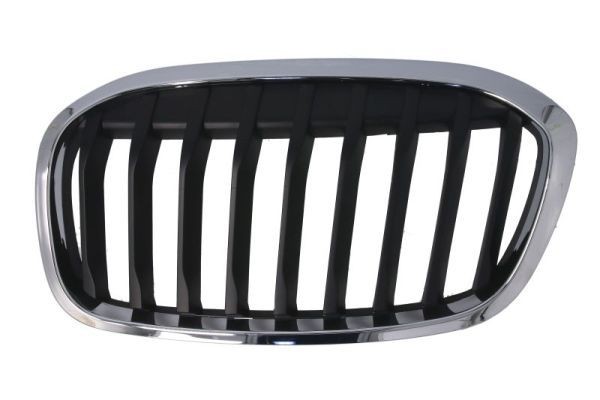 Μάσκα ψυγείου BLIC 6502-07-0071993P BLIC 6502-07-0071993P Μάσκα προφυλακτήρα BMW Σειρά 2 2012