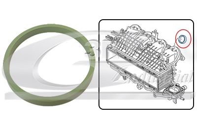3RG Pakning, indsugningsmanifold 36704 36704 Indsugningsmanifold pakning 3RG FORD FOCUS