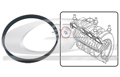 3RG Pakning, indsugningsmanifold 36705 36705 Indsugningsmanifold pakning MAZDA 3 3RG