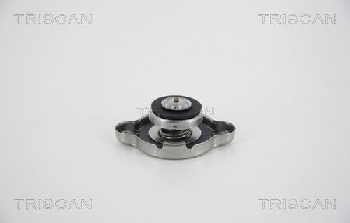 TRISCAN Τάπα κλεισίματος, ψύκτης 8610 5 Τάπα ψυγείου αυτοκινήτου TRISCAN 960 8610 5 φθηνά