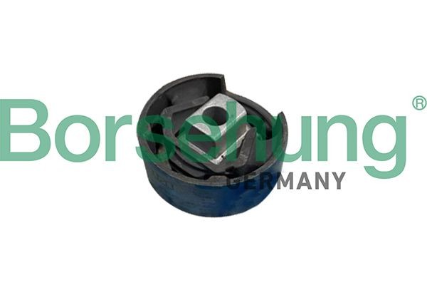 Supporto assale Borsehung B10031 Borsehung B10031 Silent block ponte Volkswagen TIGUAN 2025