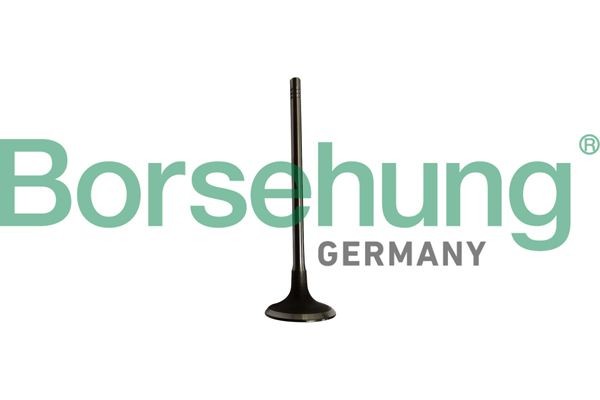 Borsehung Sisselaskeventiil B10334 Sisselaskeventiil Borsehung CUPRA ATECA B10334