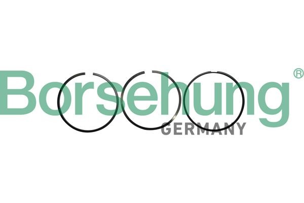 Piston Ring Kit Borsehung B10362 Borsehung B10362 Audi A8 2016 Piston ring kit price
