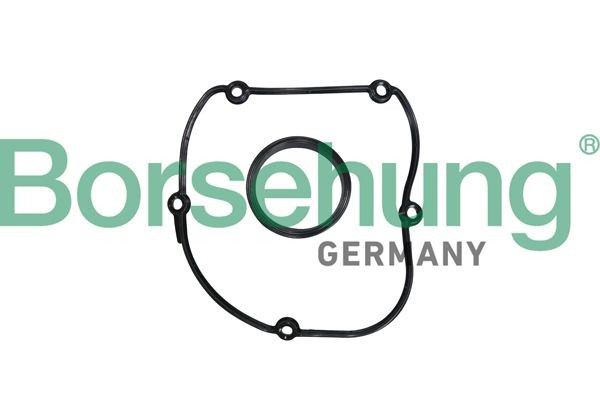 Borsehung Tihendikomplekt, Juhtimiskorpus B10627 Borsehung B10627 Tihendi juhtimiskorpus VW T6 Van originaal hind