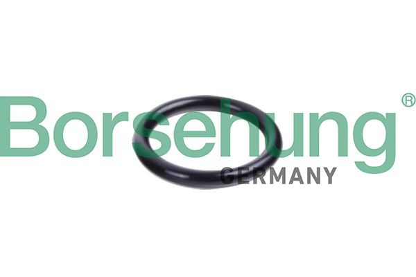 Borsehung Retentor, tubagem do líquido de refrigeração B10632 Borsehung B10632 originais Retentor, tubagem do líquido de refrigeração Audi A3 Cabrio custo