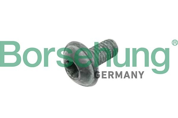 Borsehung Schraube, Bremsscheibe B10635 Borsehung B10635 Schraube, Bremsscheibe
