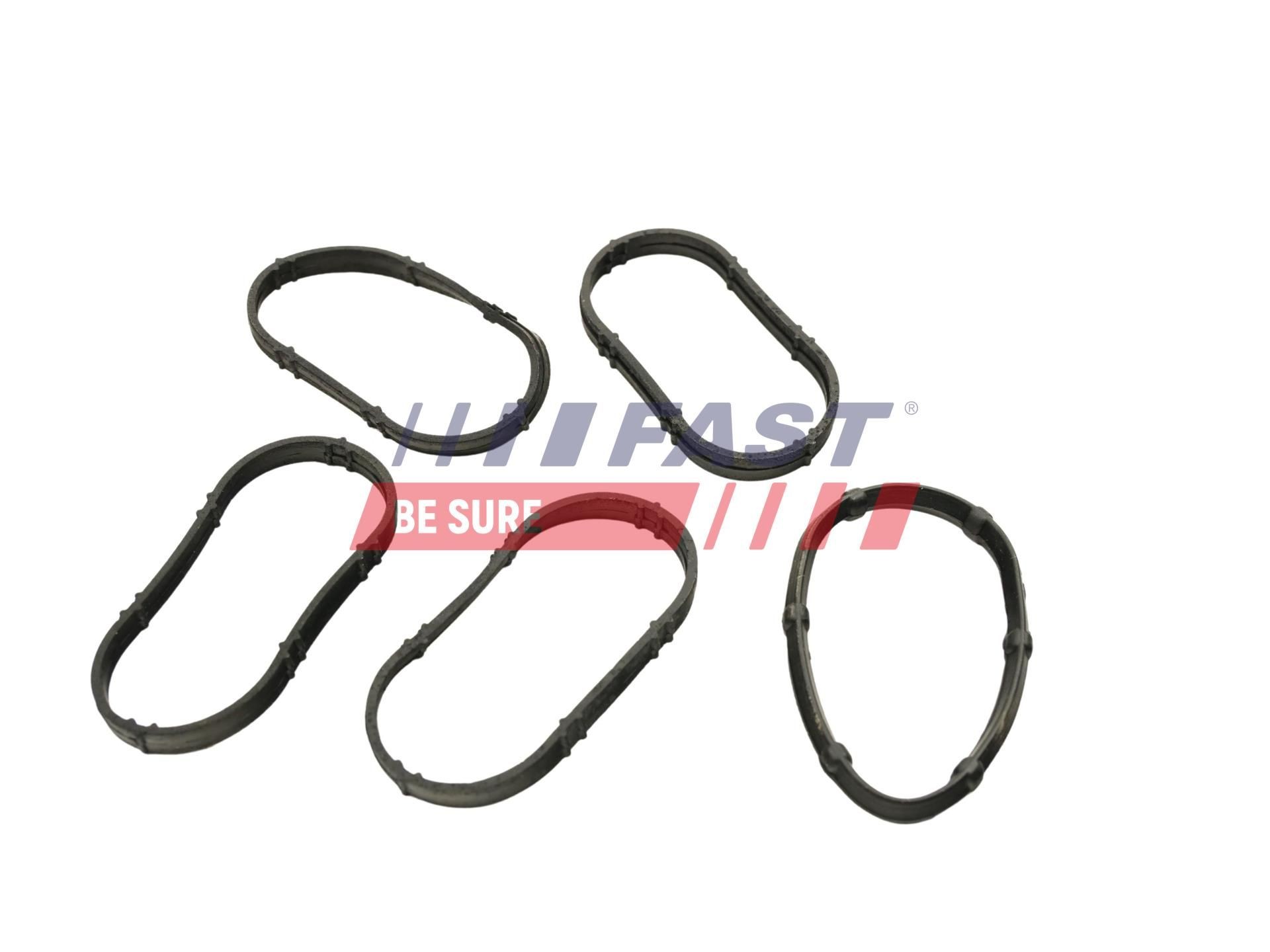 FAST Packningssats, insugsgrenrör FT49456 LANCIA insugspackning FAST FT49456