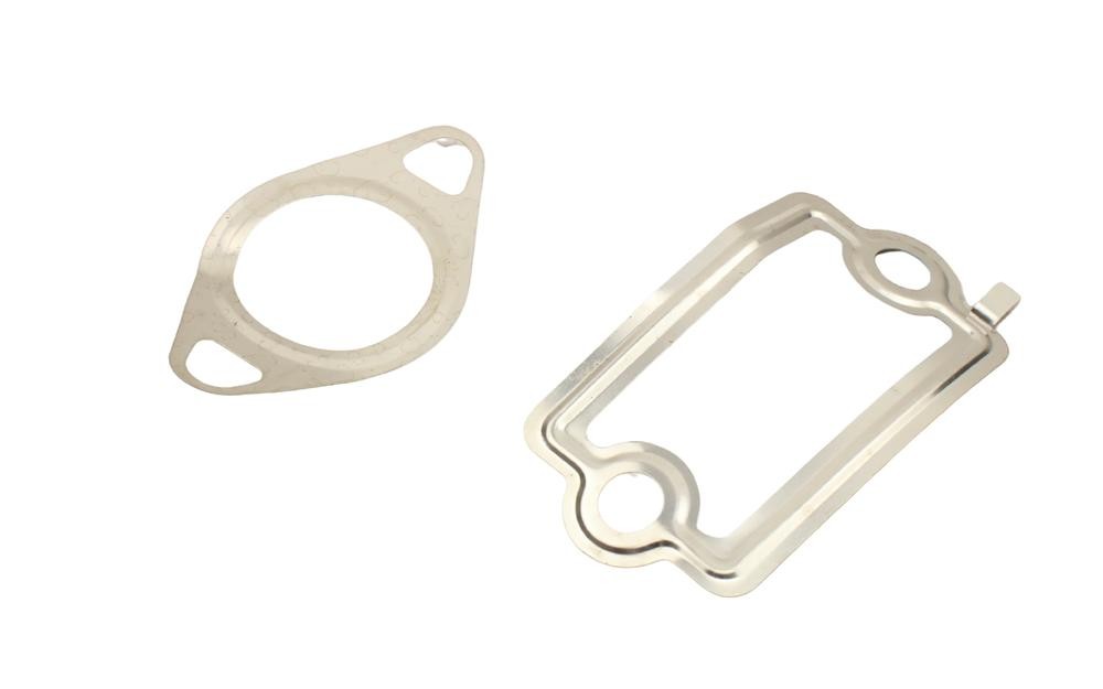 FAST Guarnizione, Condotto valvola-AGR FT49925 FAST FT49925 Guarnizione valvola egr JAGUAR prezzi originali
