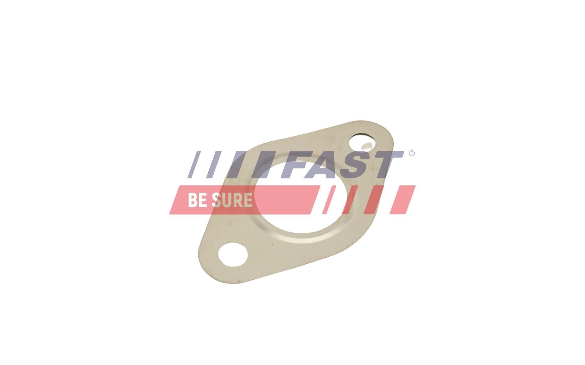 FAST Blīve, Izplūdes gāzu recirkulācijas vārsts FT50615 FAST FT50615 Blīve, Izplūdes gāzu recirkulācijas vārsts FORD Fiesta Mk5 Hatchback (JH1, JD1, JH3, JD3) 1.3 60 ZS 2008