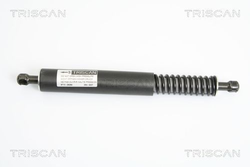 TRISCAN Gāzes atspere, Bagāžas / Kravas nodalījuma vāks 8710 29264 8710 29264 TRISCAN Bagāžnieka amortizatori Smart lēti