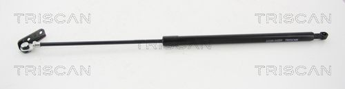 TRISCAN Heckklappendämpfer / Gasfeder 8710 69202 8710 69202 TRISCAN Suzuki Swift mk2 Heckklappendämpfer kaufen