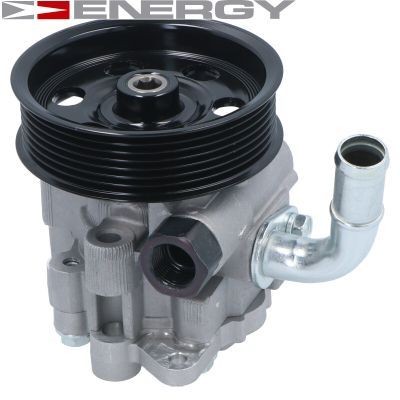 Power steering pump ENERGY PW670124 ENERGY PW670124 Jeep COMPASS 2023 Steering pump price