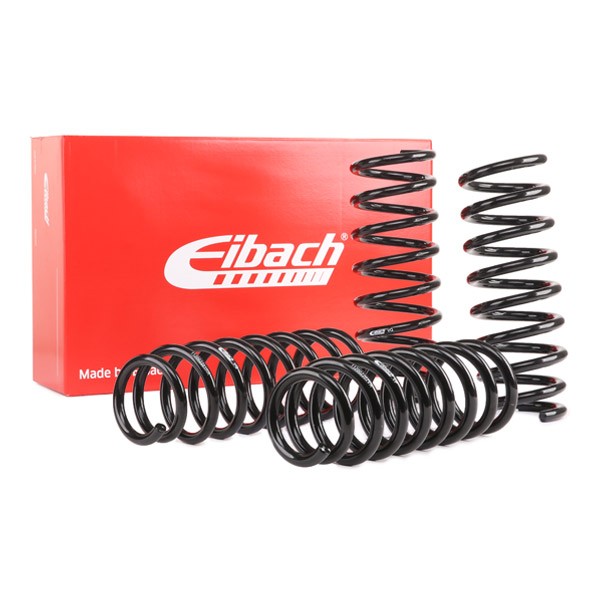 EIBACH Vedrustusekomplekt, vedrud E10-20-022-02-22 EIBACH E10-20-022-02-22 Vedrustusekomplekt, vedrud BUICK Roadmaster Kombi 5.7 264 hj 1995