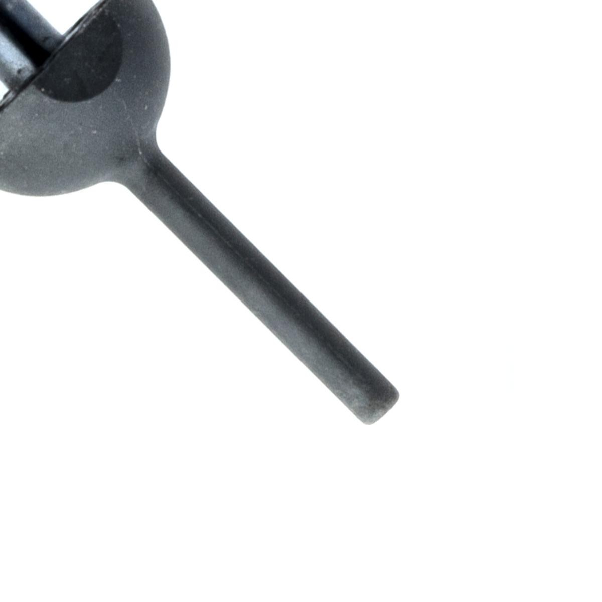 EINPARTS Ammortizzatore pneumatico cofano motore EP10004GS EP10004GS costo Ammortizzatori cofano AUDI A6 EINPARTS