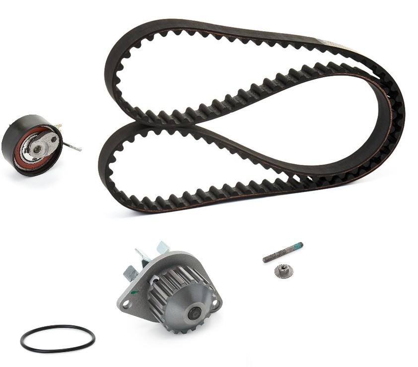 RIDEX PLUS Kit cinghia distribuzione, pompa acqua 3096W0021P 3096W0021P Pompa dell'acqua e cinghia di distribuzione RIDEX PLUS Peugeot