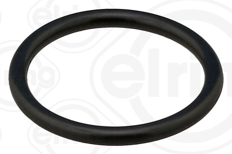 Guarnizione, Condotto carburante ELRING 099.320 ELRING 099.320 Tubo flessibile carburante benzina e diesel Fiat 500 2008