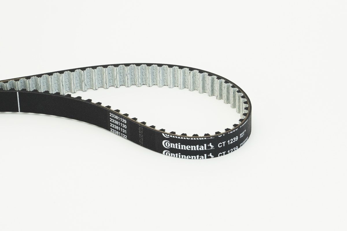 CONTITECH Distributieriem CT1239 Getande riem Jaguar QEV CT1239 CONTITECH