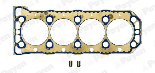 PAYEN Pakking, cilinderkop BW750 PAYEN BW750 Pakking, cilinderkop