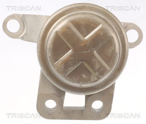 TRISCAN Moottorin tuki 8505 10108 VOLVO Moottorin tukikumi TRISCAN 8505 10108