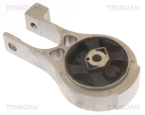TRISCAN Supporto motore 8505 10112 8505 10112 costo Supporto motore TRISCAN PEUGEOT 407