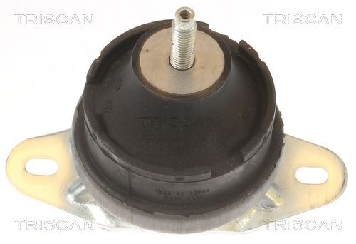 TRISCAN Motorkudde 8505 10131 8505 10131 TRISCAN Motorkudde Peugeot