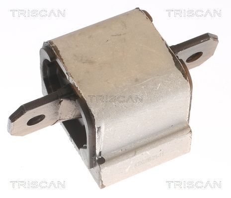 TRISCAN Ulożenie automatickej prevodovky 8505 10203 TRISCAN Silentblok prevodovky 8505 10203 hodnotenie