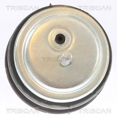 TRISCAN Motorfeste 8505 11113 8505 11113 Motorfeste TRISCAN BMW X3