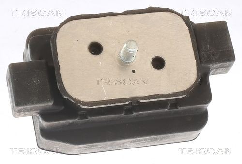 TRISCAN Ulożenie automatickej prevodovky 8505 11205 Silentblok prevodovky TRISCAN 8505 11205 lacné