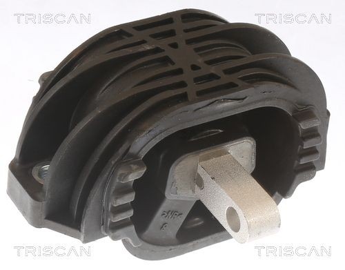 TRISCAN Ulożenie automatickej prevodovky 8505 11207 Silentblok prevodovky TRISCAN 8505 11207 lacné