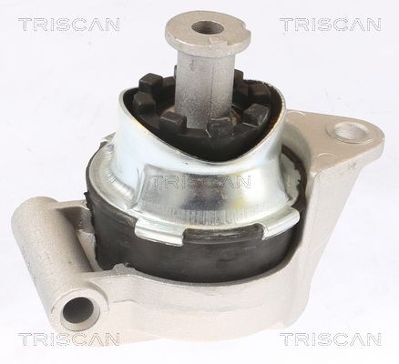 TRISCAN Motorkudde 8505 24117 8505 24117 TRISCAN motorfäste Opel CORSA