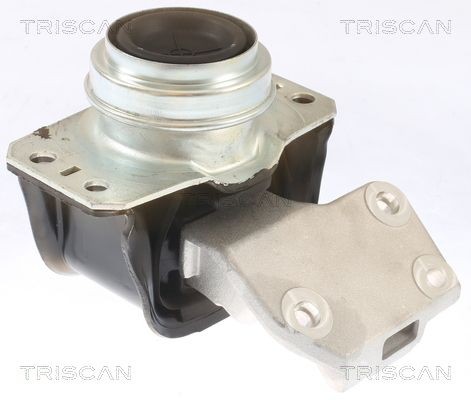 TRISCAN Motorkudde 8505 28112 PEUGEOT motorkudde TRISCAN 8505 28112