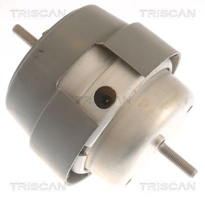 TRISCAN Piekare, Dzinējs 8505 29169 Motora spilvens TRISCAN Chevrolet TRAX 8505 29169