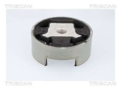 TRISCAN Piekare, Dzinējs 8505 29188 Motora spilvens TRISCAN TRAX 8505 29188 lēti