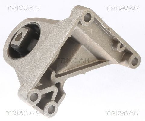 TRISCAN Ulożenie manuálnej prevodovky 8505 29200 TRISCAN Silentblok prevodovky 8505 29200 skúsenosti