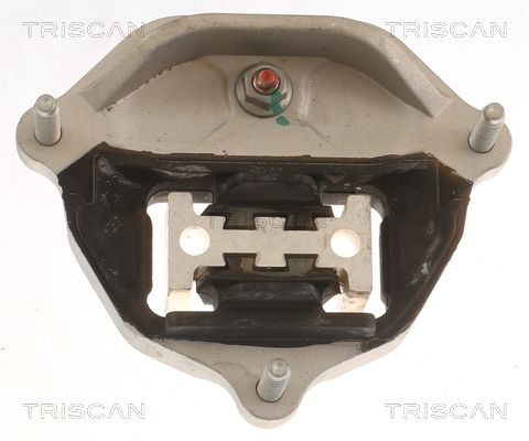 TRISCAN Ulożenie automatickej prevodovky 8505 29216 auto Silentblok prevodovky TRISCAN 8505 29216 kúpiť