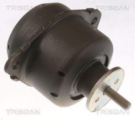 TRISCAN Motorfeste 8505 65103 8505 65103 Motorfeste BMW X3 TRISCAN