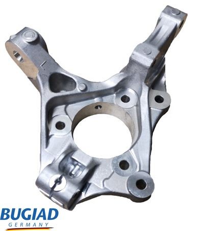 BUGIAD Fuseestuk BSP25525 BUGIAD BSP25525 Fuseehuis Chevrolet Spark m300 originele prijs