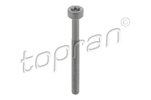 TOPRAN Skruv, spridarhållare 410 287 410 287 TOPRAN värmeskyddsskiva, insprutning Ford FIESTA
