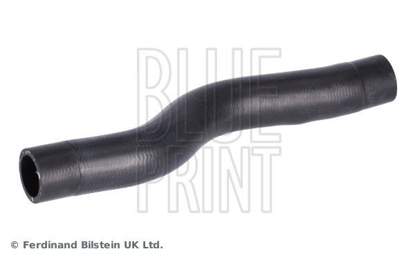 BLUE PRINT Flessibile radiatore ADBP930009 ADBP930009 costo Tubi radiatore LAND ROVER DISCOVERY BLUE PRINT