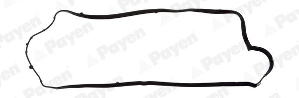 PAYEN Φλάντζα, κάλυμμα κυλινδροκεφαλής JM7053 PAYEN JM7053 Φλάντζα καπακιου βαλβίδων DS DS5 γνήσια