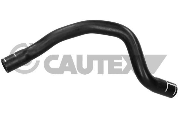 CAUTEX Brennstoffslange 768241 Brennstoffslange CAUTEX LAND ROVER 768241