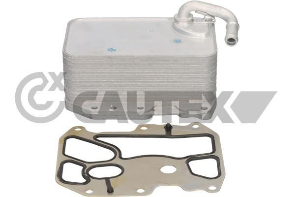 CAUTEX Radiateur d'huile 774720 CAUTEX Refroidisseur d'huile moteur FORD 774720