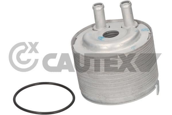 CAUTEX Chladič motorového oleja 774721 Olejový chladič CAUTEX Volkswagen PASSAT 774721