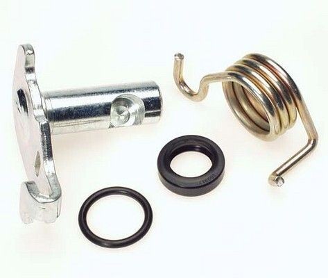 BUDWEG CALIPER Reparatieset, handrem (remklauw) 209910 auto Reparatieset, handremas BUDWEG CALIPER 209910 kopen